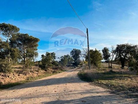 Large land with eucalyptus trees with an area of 6350m2 just a few minutes from the city of Caldas da Rainha. The land has the possibility of construction, since you have a request for licensing/prior communication in the Municipality of Caldas da Ra...
