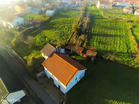 4 bedroom villa located in the heart of the Trás-os-Montes village of Penhas Juntas, in the municipality of Vinhais, district of Bragança. The property is located in the center of the village and consists of the garage for two cars and cellar at road...