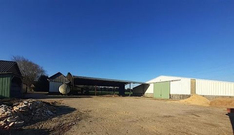 40 minutes from Rouen and 35 minutes from Gisors (27), a semi-open hangar of about 1,000 m², an open agricultural building of about 500 m², a workshop building of about 75 m² and buildings of about 900 m². Pool. All on a plot of approximately 12,700 ...
