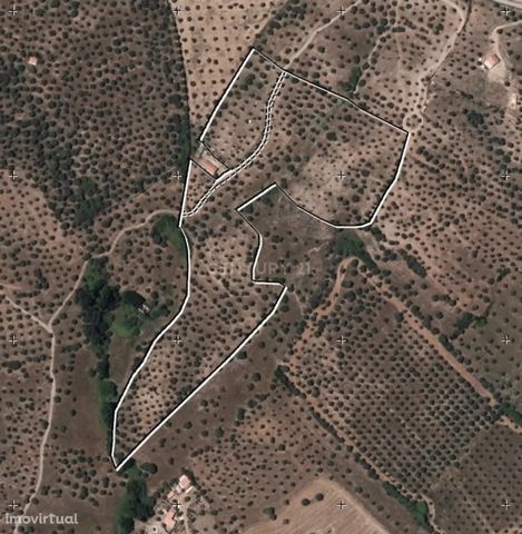 I present to you this rustic land in Portel. With excellent accesses, water hole and about 3 hectares of olive plantation of high productive index, near Portel and the river beaches of Amieira, also has a support house that is marked as an offer in t...