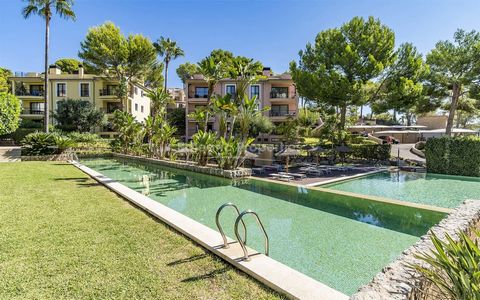 Outstanding apartment with community pool and tropical gardens in Camp de Mar, Andratx This beautifully presented, fully furnished designer apartment is offered for sale in the Camp de Mar area of Andratx. Located on an exclusive complex , the apartm...