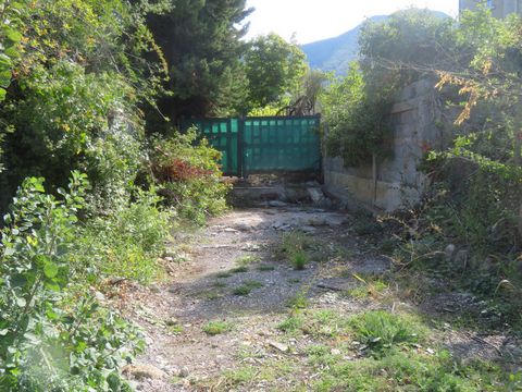 photo no. 2