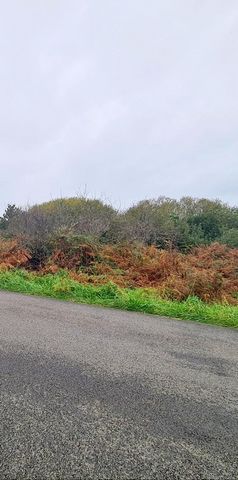 CROZON, secteur Montourgard, idéalement situé à proximité des commerces, plage de Morgat et du Bois du Kador, Venez découvrir ce terrain de 2183m² environ en friche et arboré, en zone naturelle sensible (ne peut être bâti). Non viabilisé, ni électric...