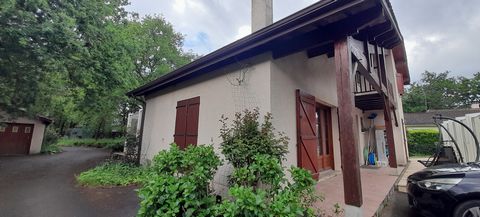 photo no. 4