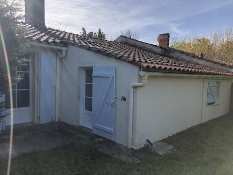 photo no. 15