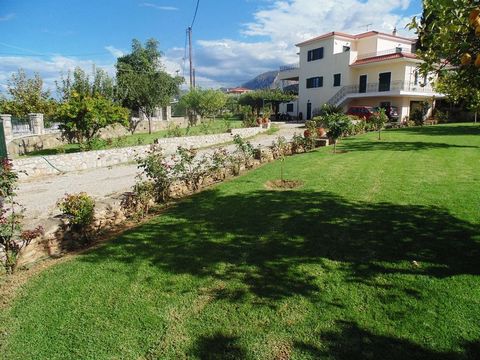 Se vende una casa de 334 m² dentro de una superficie arbórea de 2000 m², construida en 2002. Se encuentra dentro de un asentamiento en Eliki, Aigialeia, Acaya. Está construido en 3 niveles, con vistas sin restricciones al mar y a la montaña, dispone ...