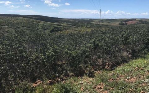 Edificio rustico composto da due appezzamenti di terreno di 5000 m2 ciascuno nel luogo di Loureiro a Raposeira.Vicino alle spiagge del Comune di Vila do Bispo.Prenota ora la tua visita.