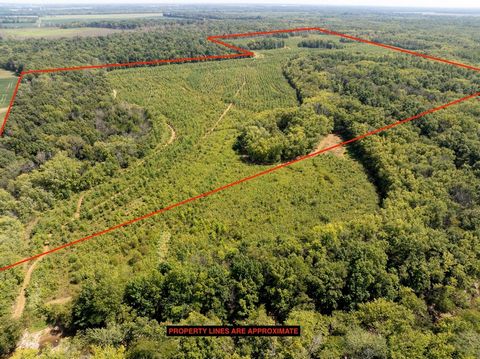 Tract 2 consists of 127 Acres mixed timber and CRP. This tract includes a portion of Little Muddy creek, access off of Mint Lane, established foot plot locations, and great hunting habitat for deer and turkey. Property lines are approximate. With gre...