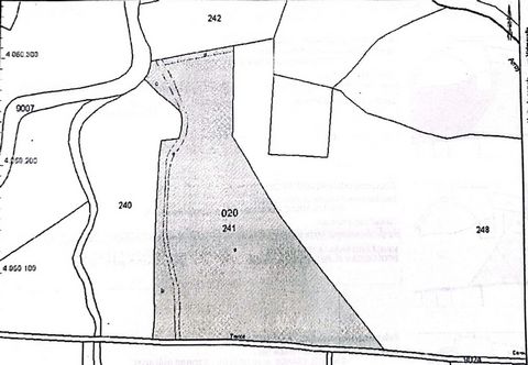 Découvrez une opportunité exclusive à Alhaurín de la Torre : 3,2 hectares de terres arides, une toile vierge prête à être transformée selon votre vision. Stratégiquement situé, ce terrain allie la tranquillité rurale à la proximité des commodités urb...