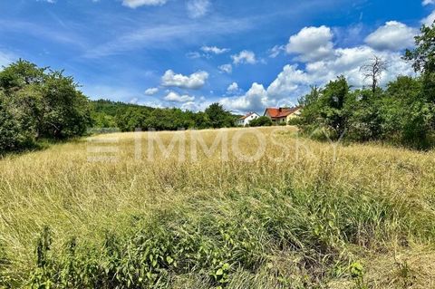 +++ Bitte haben Sie Verständnis, dass wir nur Anfragen mit VOLLSTÄNDIGEN persönlichen Angaben (komplette Anschrift, Rufnummer und E-Mail) beantworten werden! +++ Dieses idyllische Grundstück in Niedermirsberg umfasst 3.100 qm und ist ruhig gelegen, w...