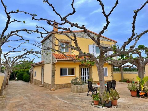 Wunderschöne Villa in einem Wohngebiet 5 Minuten von Amposta entfernt. Gelegen auf einem Grundstück von 1.800 m² mit Leitungswasser und Strom. Das Haupthaus mit einer bebauten Fläche von 190 m², ist auf zwei Etagen gebaut und ist in der Eingangshalle...