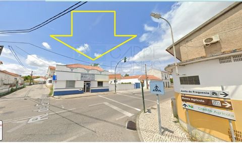 Single storey house with 238m2 on a plot of 538m2, in Riachos, Torres Novas. Ground floor house serving as an office, with a covered area of 120m2 consisting of 3 rooms, 2 bathrooms and 1 archive division. It also has an archive (warehouse) of 3 room...