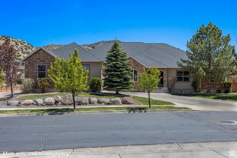 PRICED BELOW APPRAISAL!!! $114, 000 instant equity!! Welcome to Your Multi-Generational Dream Home in Canyon Ridge! This stunning 7, 399 sq ft residence nestled within the premier Canyon Ridge subdivision backs up to a private 3+ acre park with trail...