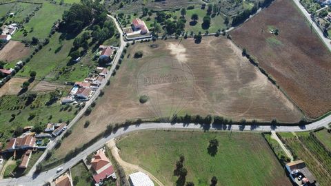 Terreno com 2,6 hectares com Projeto Aprovado para Moradia em Aveiras de Cima Apresentamos uma excelente oportunidade de investimento em Aveiras de Cima: um terreno com uma vasta área total de 2,6 hectares, perfeito para quem valoriza a tranquilidade...