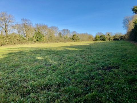 Sur la commune de Nachamps, dans un hameau à 10 minutes de Surgères, en direction de St Jean d'Angély, je vous propose de venir découvrir ce beau terrain hors lotissement de 3725 m2. En zone Uc, cette parcelle est en grande partie constructible. Vous...