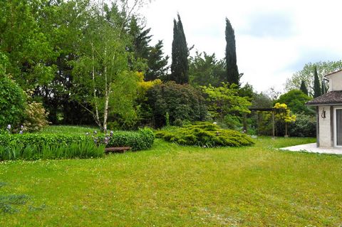 photo no. 15