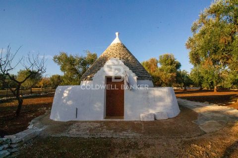 In the countryside of Ceglie Messapica, an ancient town renowned for its food and wine, more precisely in Contrada Madonna Piccola, a charming and authentic trullo of about 25 square meters, in excellent structural condition, already renovated but wi...