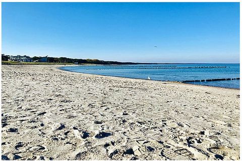 Vakantiedroom in een vakantiehuis met rieten dak, slechts 220 meter van het strand aan de Baltische Zee, 2 slaapkamers, maximaal 4 personen met open haard, WiFi, honden zijn van harte welkom!