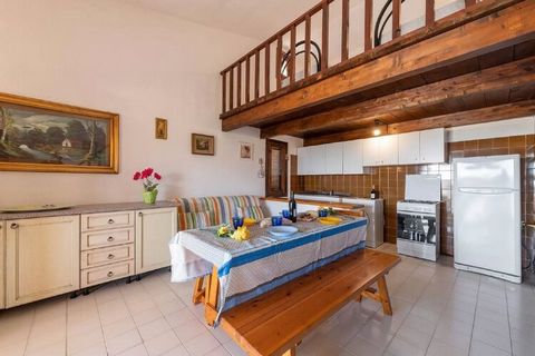 Comfortable three-room apartment on the beach of Porto Istana; inserted in a residential complex and located on the raised ground floor, it consists of a large living room with kitchenette and double sofa bed, double bedroom, second double bedroom an...