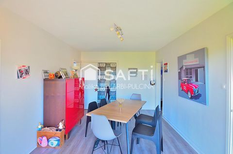 photo no. 2