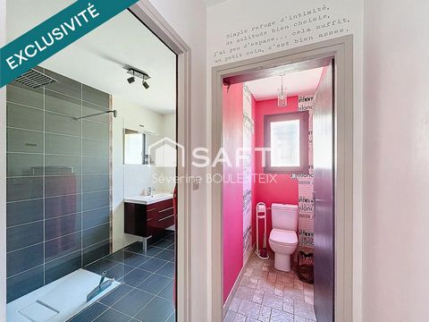 photo no. 10