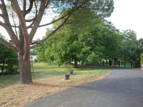 photo no. 1