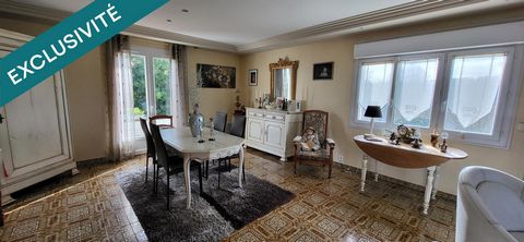 photo no. 11