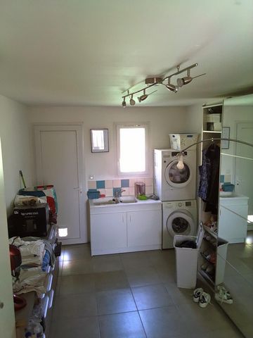 photo no. 6