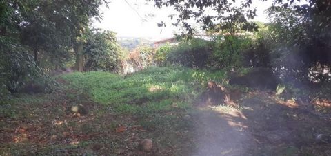 photo no. 3