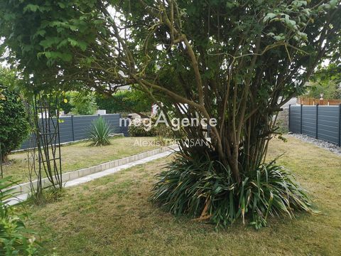 photo no. 11