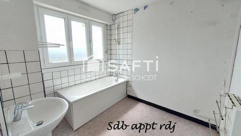 photo no. 6