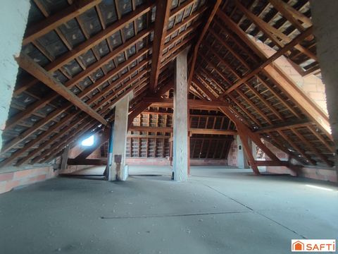 photo no. 18
