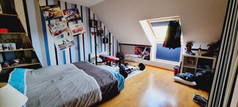 photo no. 10