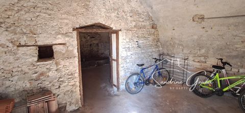 photo no. 15