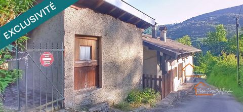 photo no. 15