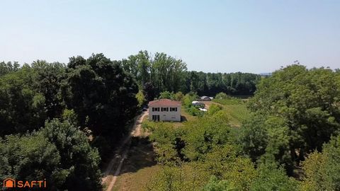 photo no. 12