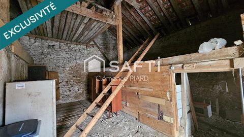 photo no. 8