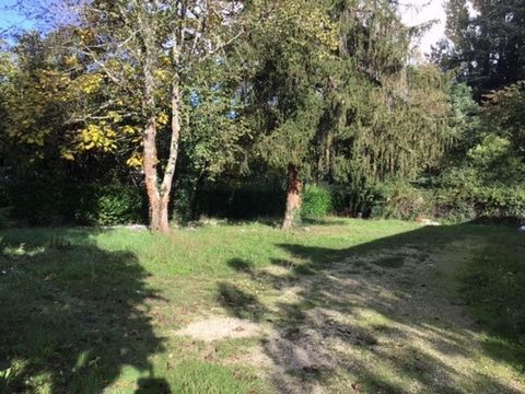 photo no. 2