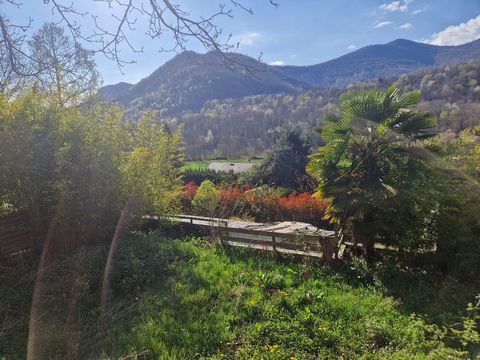 photo no. 16