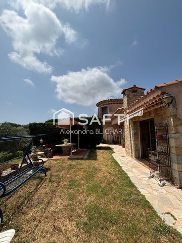 photo no. 13