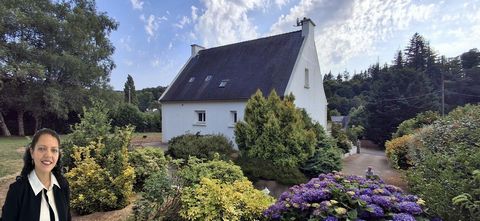 photo no. 12