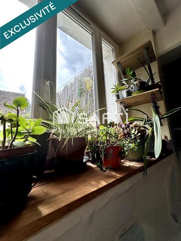 photo no. 6