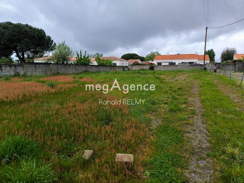 photo no. 1