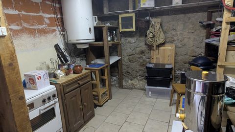 photo no. 11