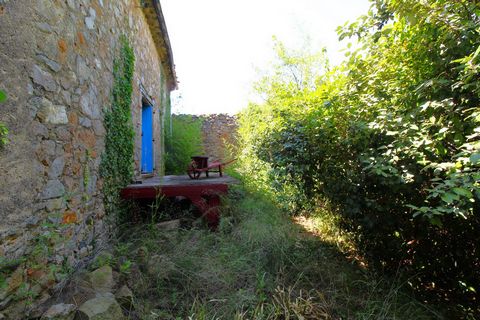 photo no. 1