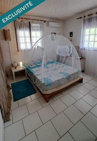photo no. 15