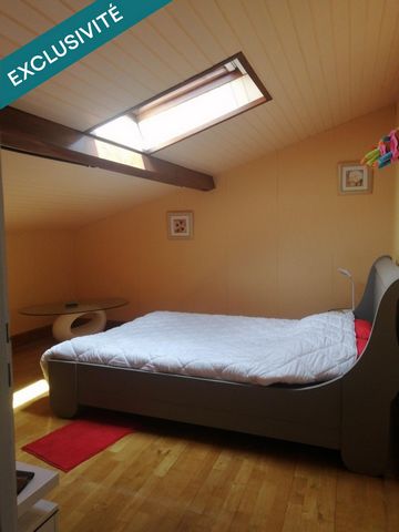 photo no. 11
