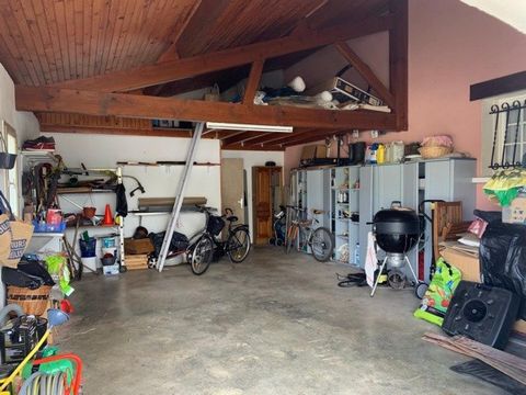 photo no. 13