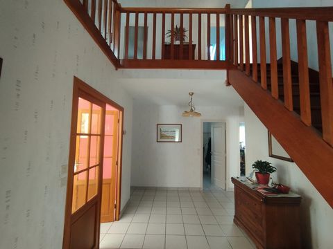 photo no. 10