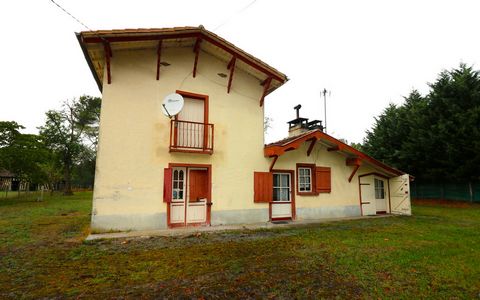 photo no. 12